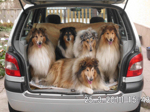 Auf geht's zum Spaziergang