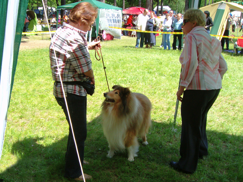 Eiko, Jelenia Gora (PL)