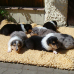 3 Wochen alt, erster Ausflug in die Sonne