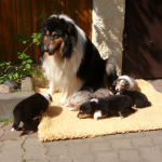 3 Wochen alt, erster Ausflug in die Sonne