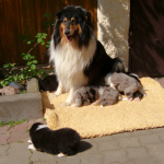 3 Wochen alt, erster Ausflug in die Sonne