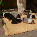 3 Wochen alt, erster Ausflug in die Sonne