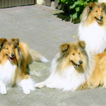 Ingo, Igor und Ibero