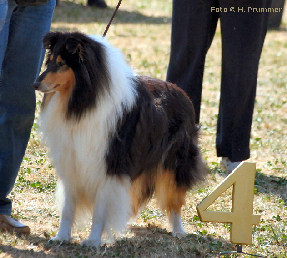 Farah vom Goldberg, Ausstellung Hohenhusling